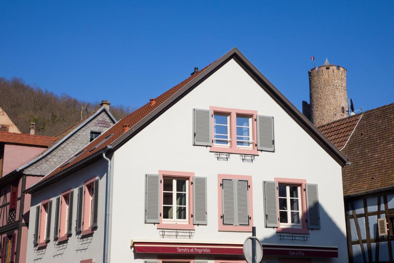 Chambres Chez Laurence Kaysersberg-Vignoble Dış mekan fotoğraf